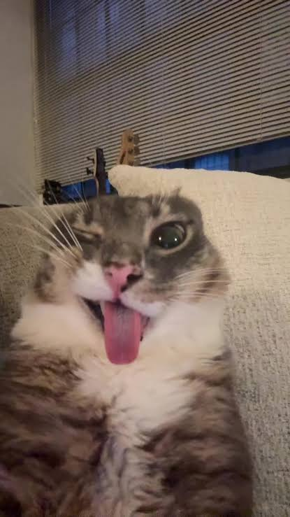 face reveal